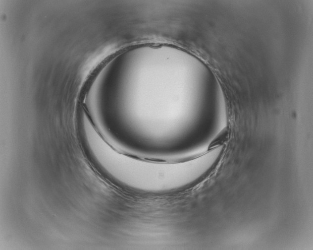 X0000088750248200706141735