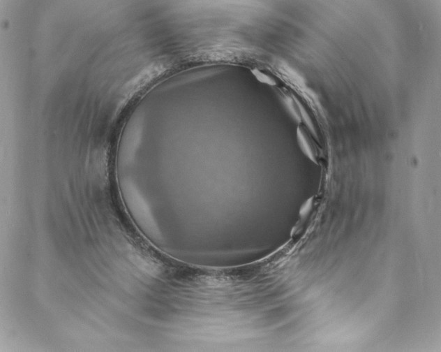 X0000088750250200706141735