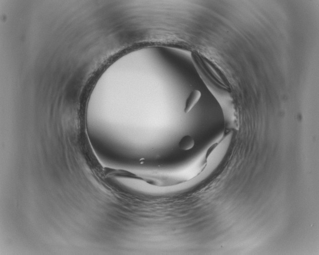 X0000088750252200706141735