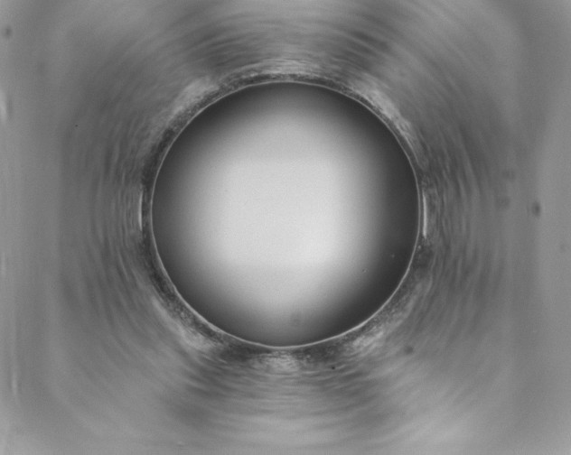 X0000088750253200706141735