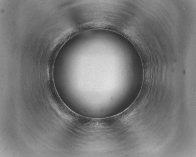 X0000088750254200706141735