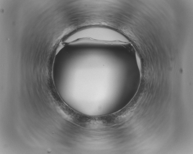 X0000088750256200706141735