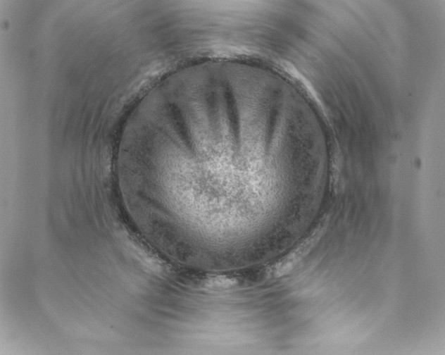 X0000088750257200706141735