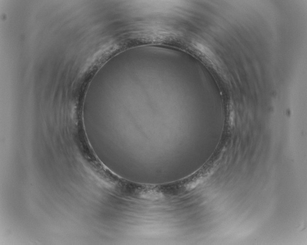 X0000088750258200706141735