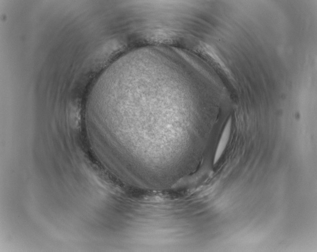 X0000088750259200706141735