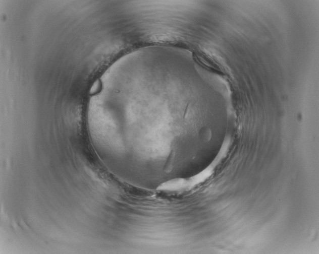 X0000088750260200706141735