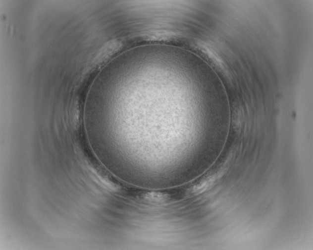 X0000088750261200706141735