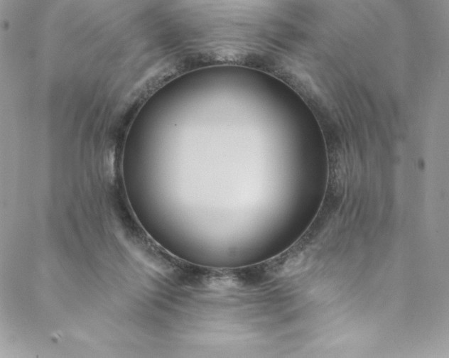 X0000088750262200706141735