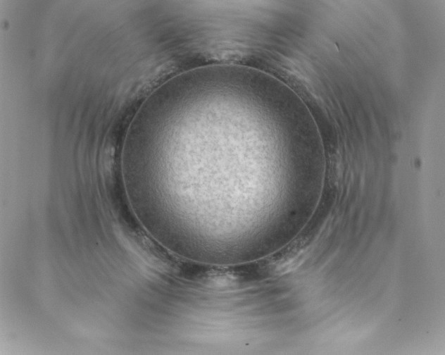 X0000088750263200706141735