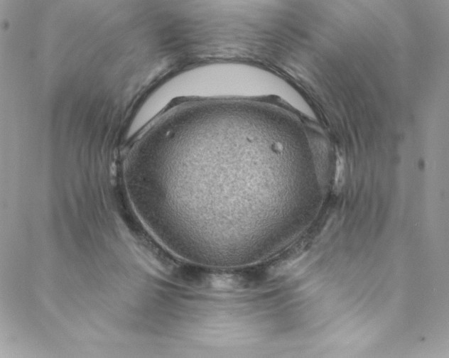 X0000088750264200706141735