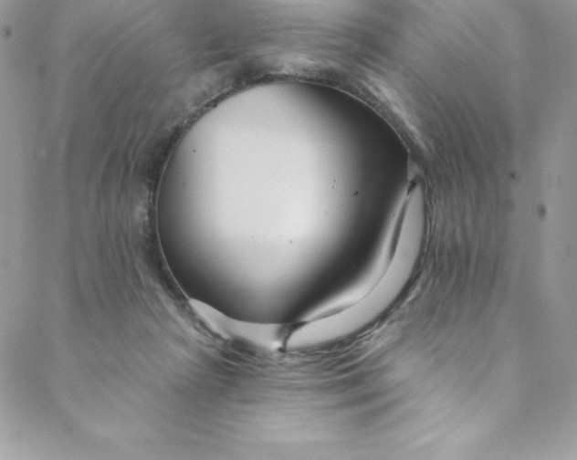 X0000088750265200706141735