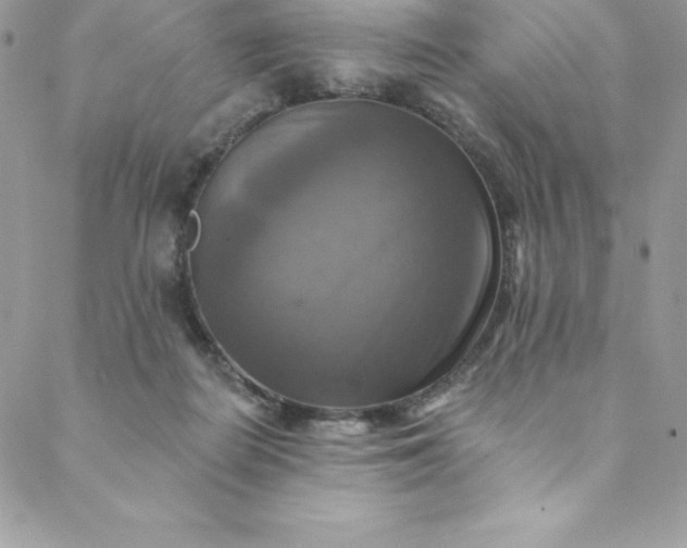 X0000088750266200706141735