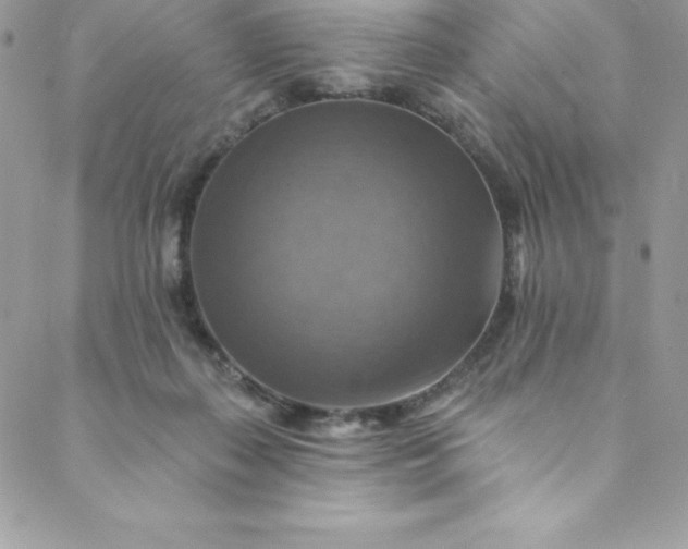 X0000088750267200706141735