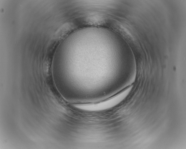 X0000088750268200706141735