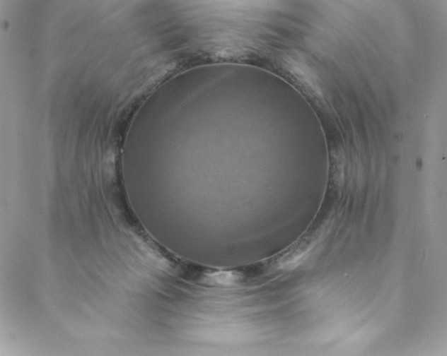 X0000088750269200706141735