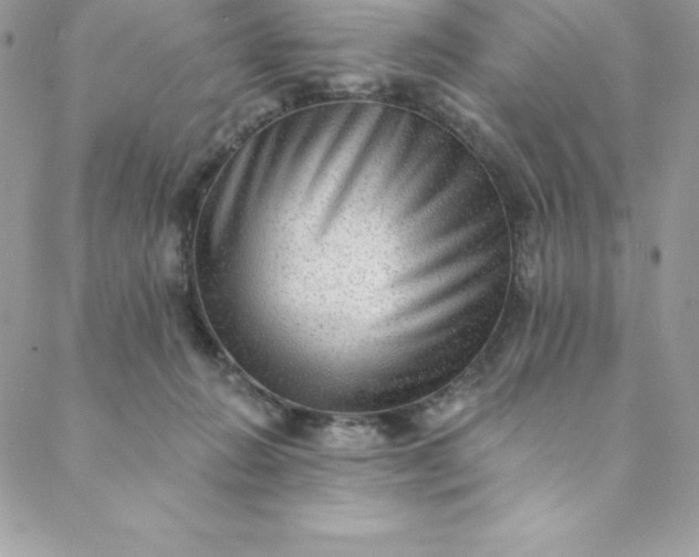 X0000088750270200706141735