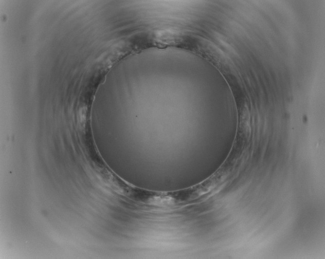 X0000088750271200706141735