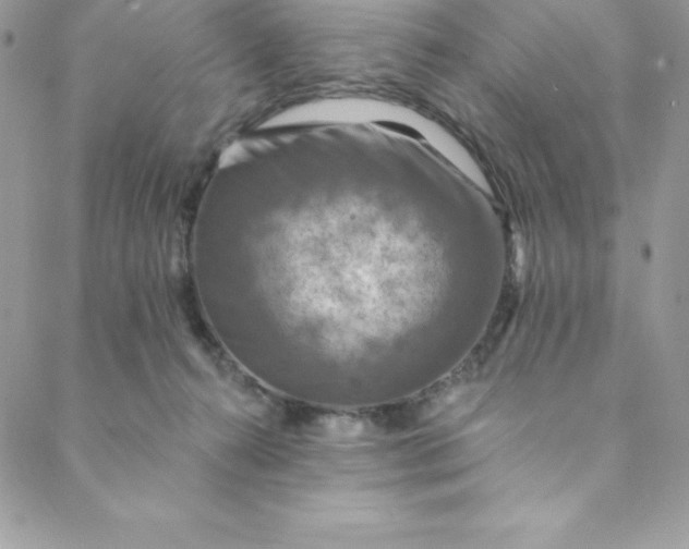 X0000088750272200706141735