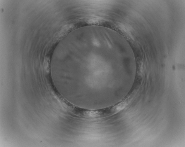 X0000088750273200706141736