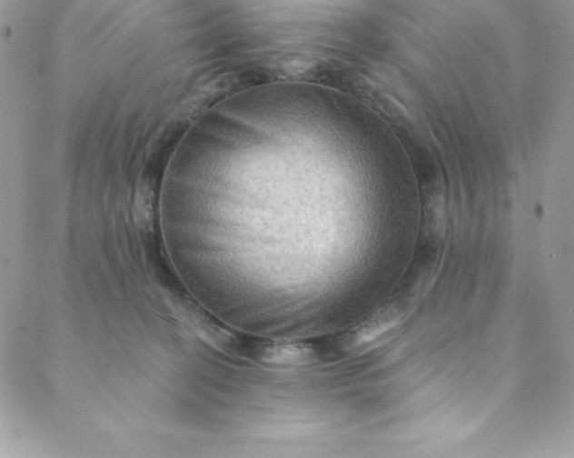 X0000088750274200706141736