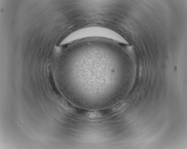 X0000088750275200706141736