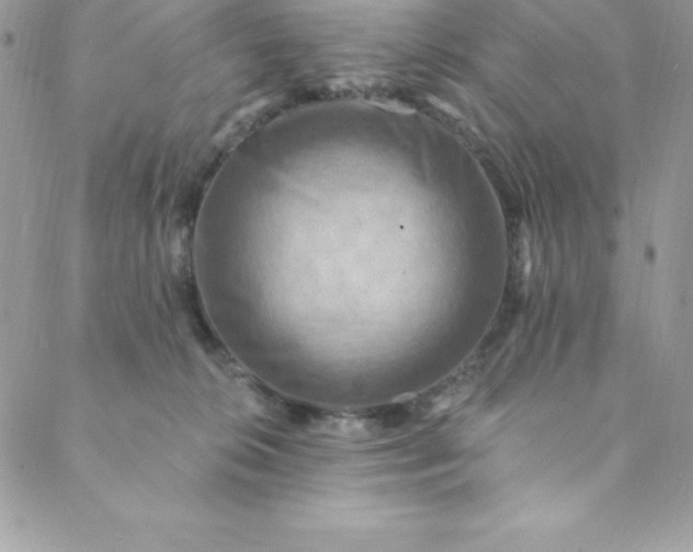 X0000088750276200706141736