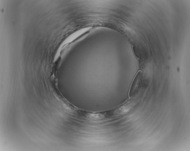 X0000088750277200706141736