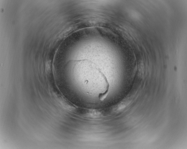 X0000088750278200706141736