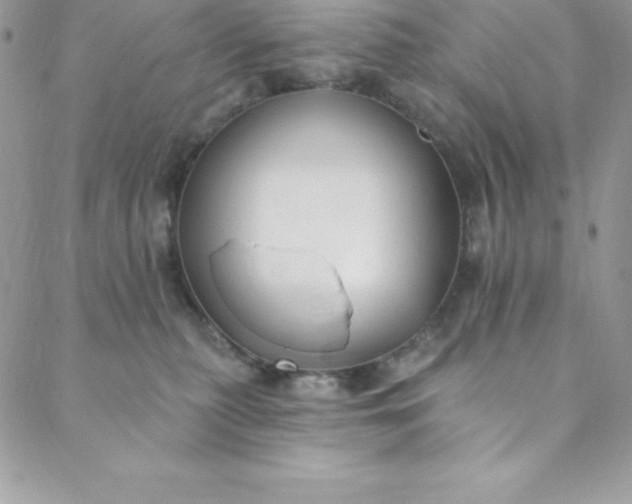 X0000088750279200706141736