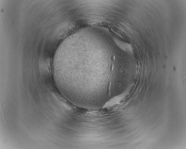 X0000088750280200706141736