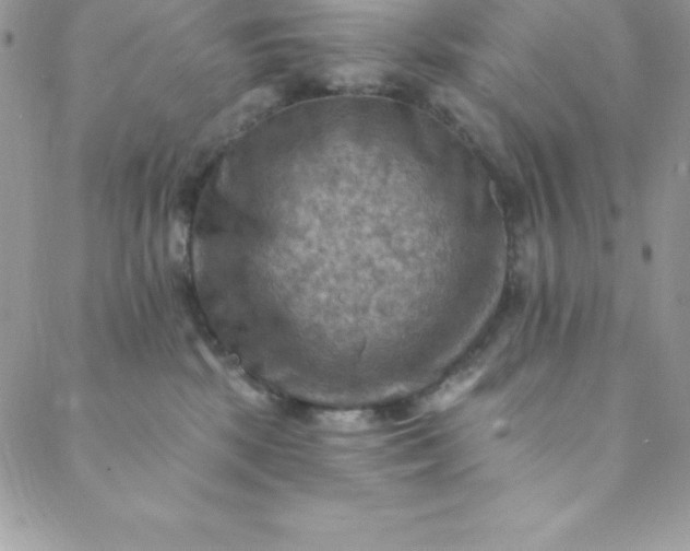 X0000088750281200706141736