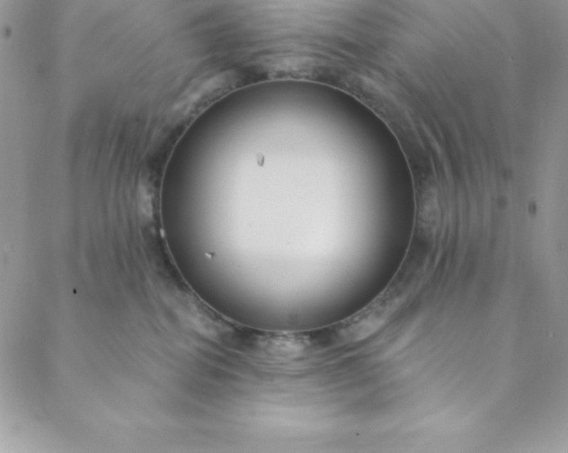 X0000088750282200706141736