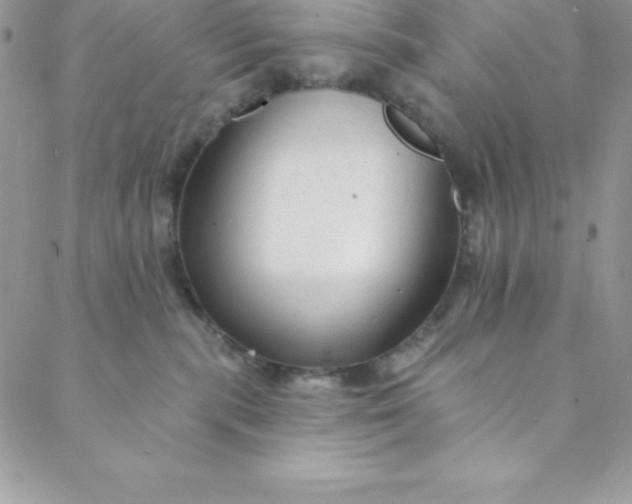 X0000088750283200706141736