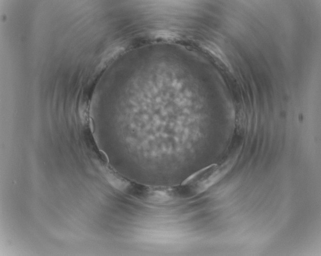 X0000088750285200706141736