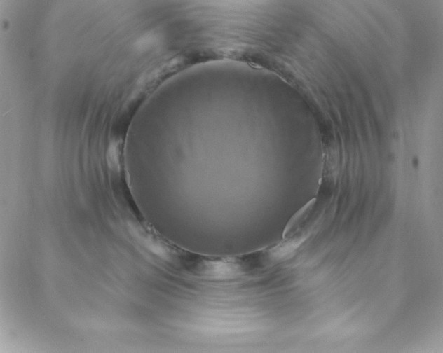 X0000088750286200706141736