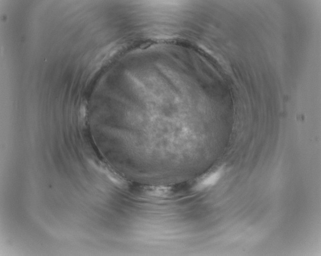 X0000088750288200706141736