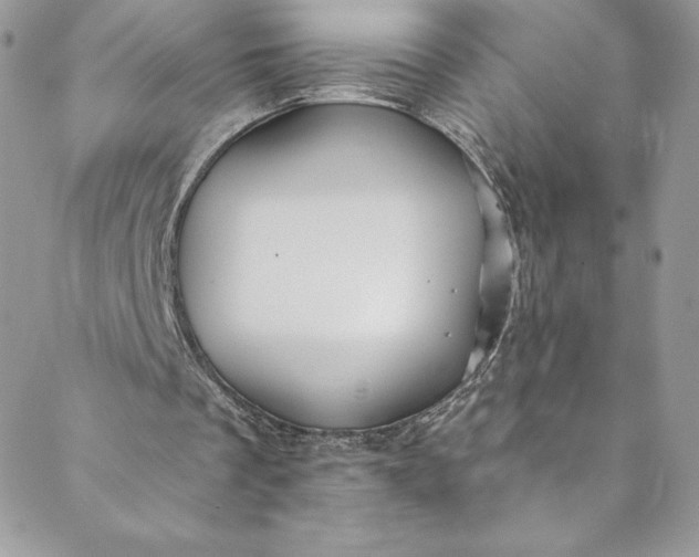 X0000088750289200706141735