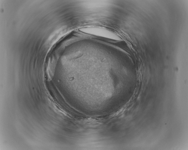 X0000088750290200706141735