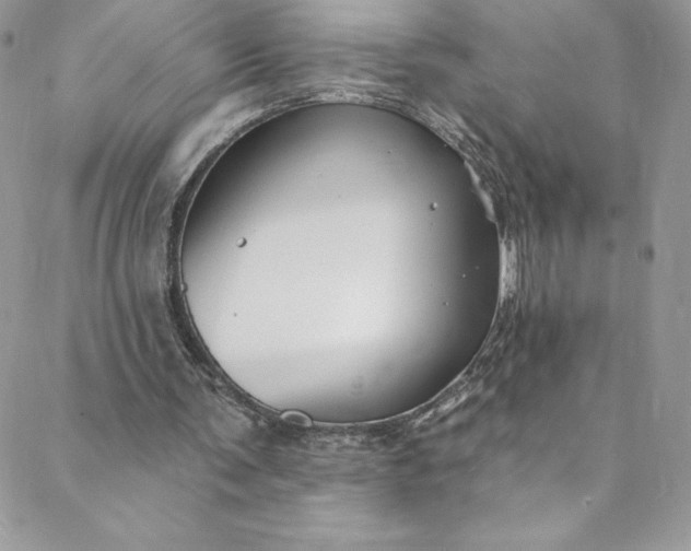 X0000088750291200706141735