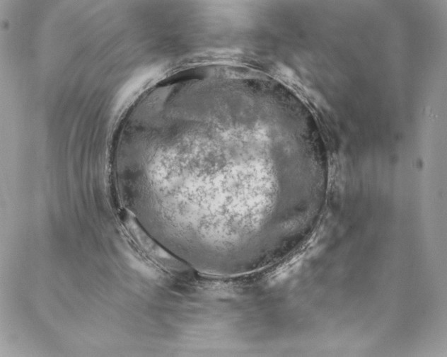 X0000088750293200706141735