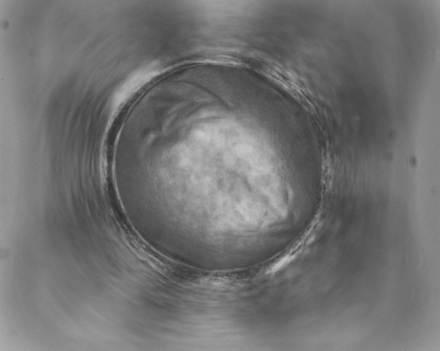 X0000088750294200706141735