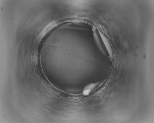 X0000088750295200706141735