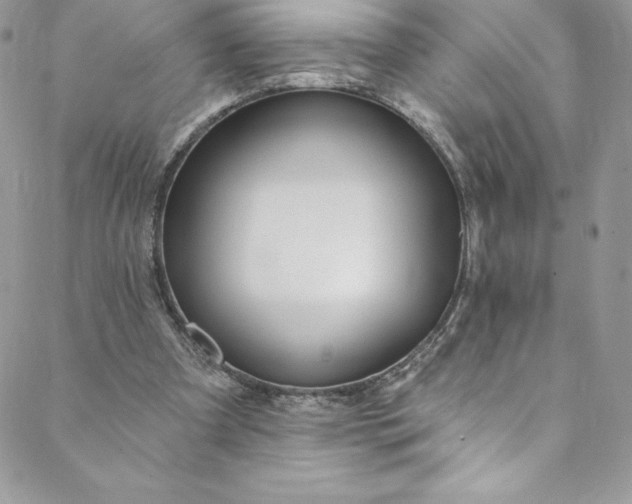 X0000088750297200706141735