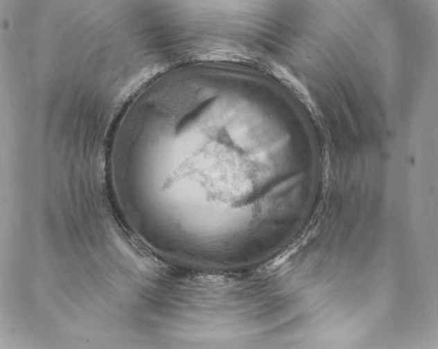 X0000088750298200706141735