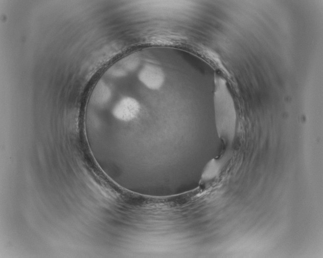 X0000088750299200706141735