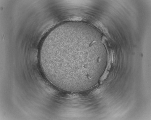 X0000088750300200706141735