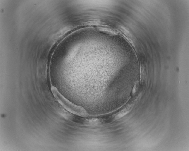 X0000088750301200706141735