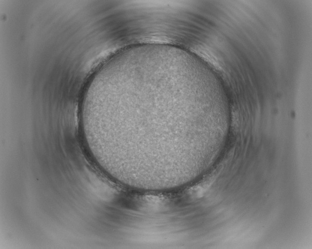 X0000088750302200706141735