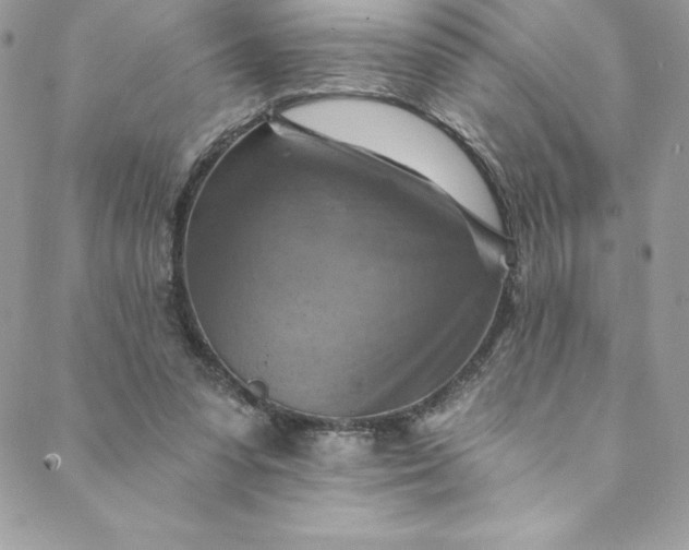 X0000088750303200706141735