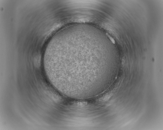 X0000088750304200706141735